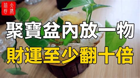 聚寶盆內放什麼